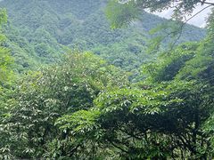 -西岭雪山大飞水景区