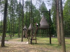 -黄海国家森林公园