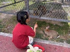 -水上乐园·欢乐世界