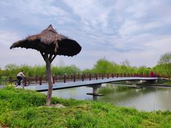 -广富林郊野公园