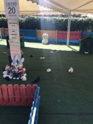 -萌宠亲子动物乐园(槐房万达店)