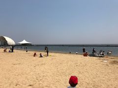 -碧海金沙