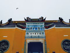 -紫竹林