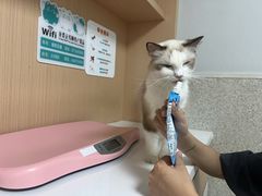 -谐和贝康宠物医院24小时·宠保定点(急重症转诊中心)