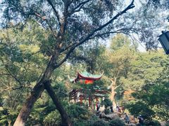 -岳麓山风景名胜区