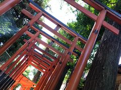 -上野公园花园稻荷神社(忍岡稲荷神社)