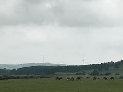 -塞罕坝国家级自然保护区