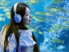 -太平洋海底世界