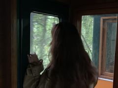 -合肥滨湖国家森林公园