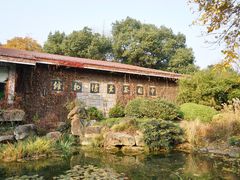 -中国茶叶博物馆(双峰馆区)