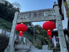 -十八棵（老龙井）御茶园(老龙井店)