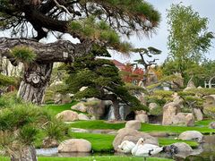 -罗红摄影艺术馆