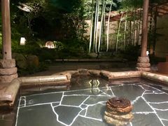 -有马温泉 竹取亭円山温泉旅馆