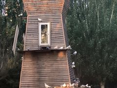 -长白岛森林公园