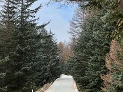 -芦芽山旅游度假区