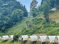 -江西阳明山国家森林公园