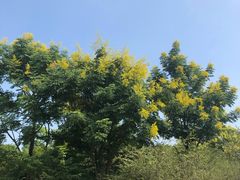 -南山风景名胜区