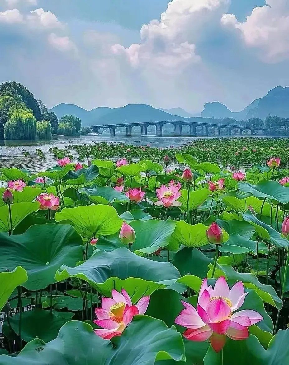 无惧年纪活出自我