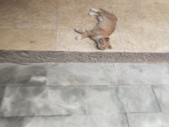 -龙达温泉生态城