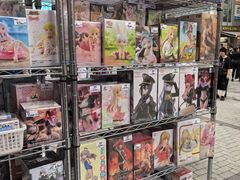 -Animate(秋叶原本馆)