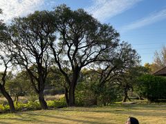 -广东花都香草世界旅游度假区