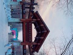 -野鸭湖国家湿地公园