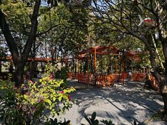 -陶缘一号·四季缘·老字号顺德菜·户外婚礼家宴(西滘店)