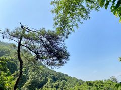 -大雁山风景区
