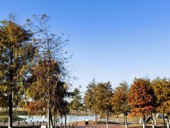 -春花秋色城市公园