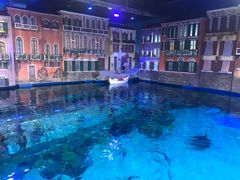 -华夏文旅海洋公园