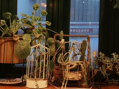 -山茶云南菜(永安里店)