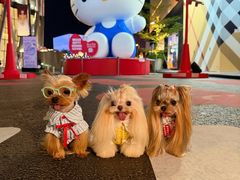 -深圳湾万象城(南山店)