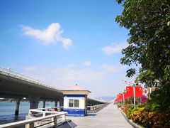 -演武大桥观景平台