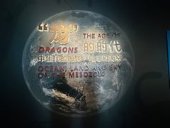 -抱抱地球咖啡馆(国家海洋博物馆店)