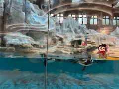 -帝企鹅自助餐厅•儿童岛•真企鹅(长隆企鹅酒店)