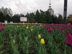 -长春公园(普阳街道)