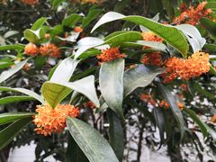 -杭州少年儿童公园