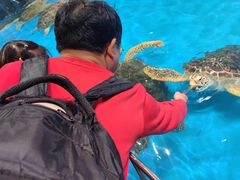 -泉城欧乐堡海洋极地世界