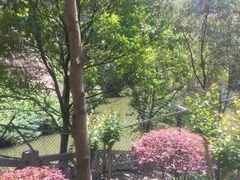 -火炉山森林公园