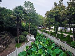-丝绸小镇荻港古村