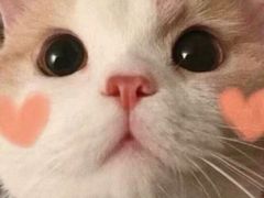 -Dal Cuore 达可芮冰淇淋(陕西北路店)