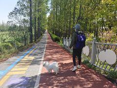 -上海长兴岛郊野公园