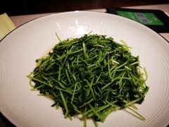 清炒豆苗-尚一汤·粤菜海鲜(环球港店)