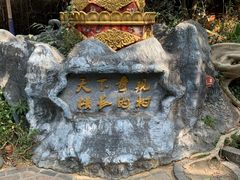 -瑞丽独树成林风景区