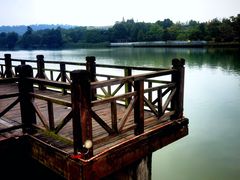 -眉山湿地公园(东坡区)