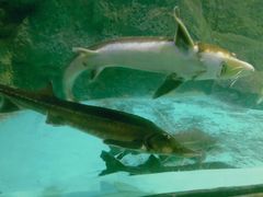-常州海昌海洋探索馆