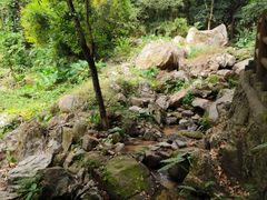 -南越王博物院(王宫展区)
