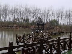 -合肥滨湖国家森林公园