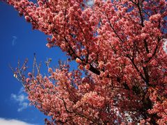 -天龙八部武侠城