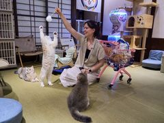-逗柴咖啡屋·狗咖猫咖宠物桌游